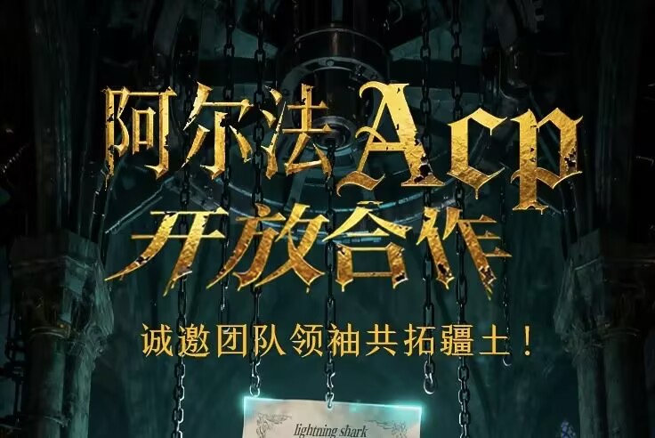 网络项目