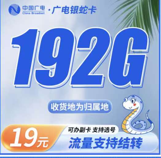 网络项目