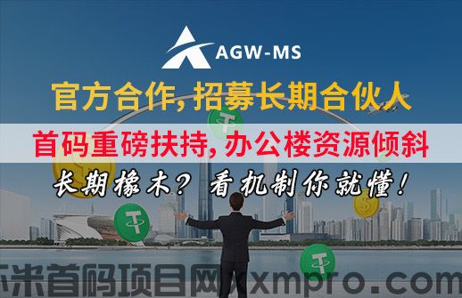 网络项目