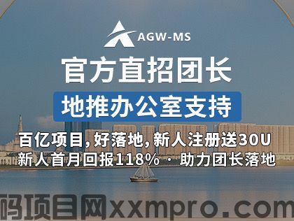 网络项目