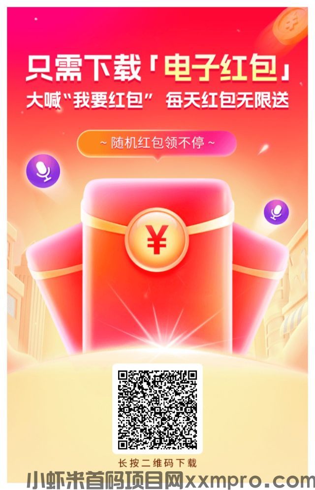 网络项目