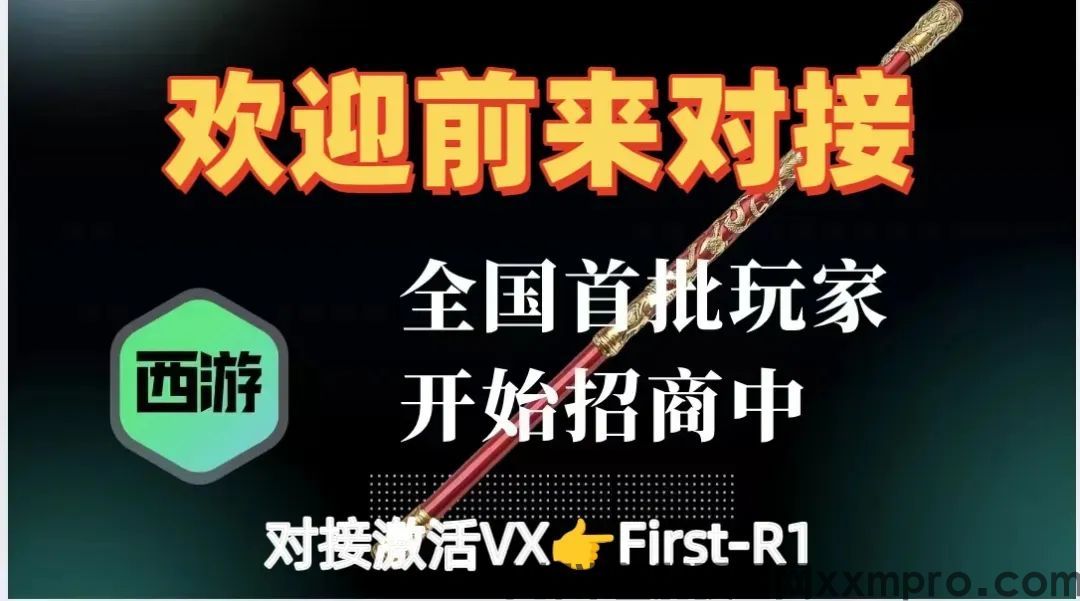 网络项目